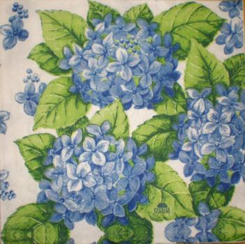 005 Hydrangeas - 3-ply (pink) - Fasana